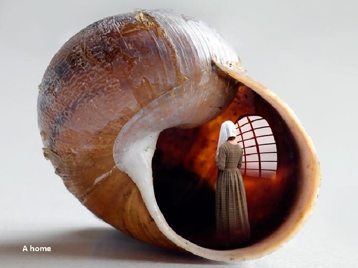 A home 