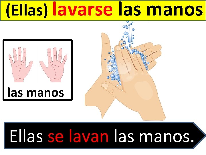 (Ellas) lavarse las manos Ellas se lavan las manos. 