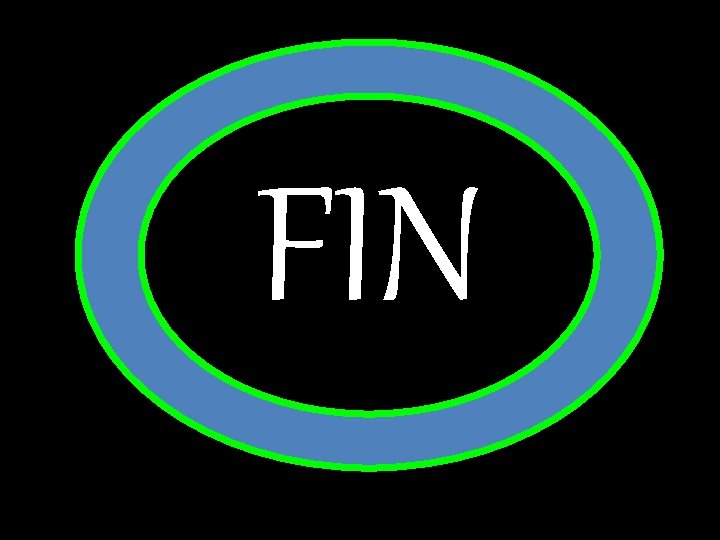 FIN 