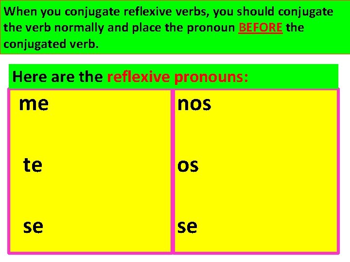 When you conjugate reflexive verbs, you should conjugate the verb normally and place the