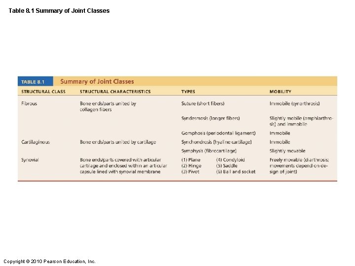 Table 8. 1 Summary of Joint Classes Copyright © 2010 Pearson Education, Inc. 