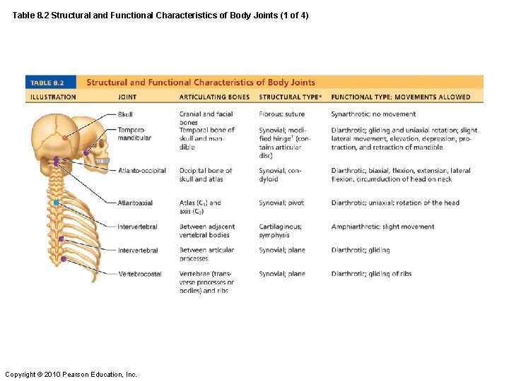 Table 8. 2 Structural and Functional Characteristics of Body Joints (1 of 4) Copyright