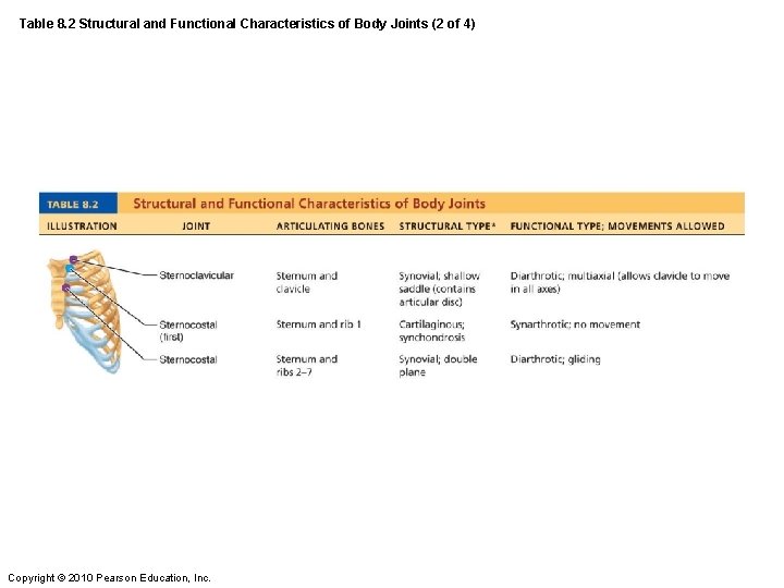 Table 8. 2 Structural and Functional Characteristics of Body Joints (2 of 4) Copyright Table 8. 2 Structural and Functional Characteristics of Body Joints (2 of 4) Copyright
