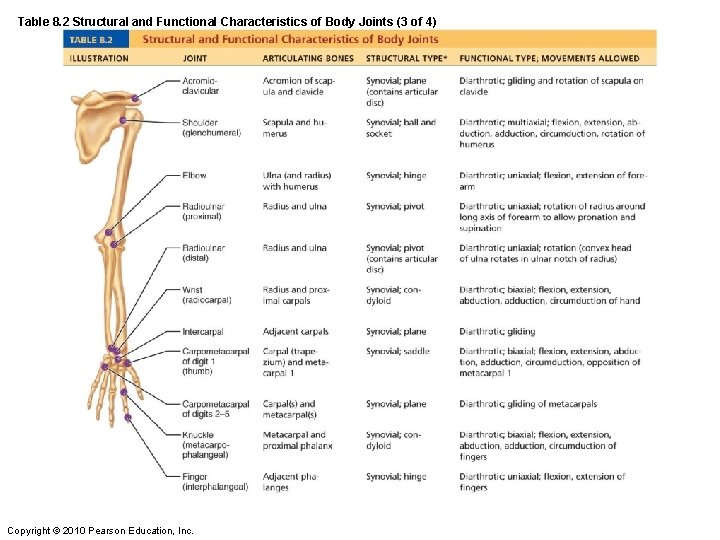 Table 8. 2 Structural and Functional Characteristics of Body Joints (3 of 4) Copyright