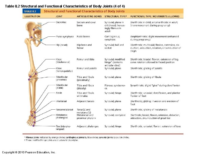 Table 8. 2 Structural and Functional Characteristics of Body Joints (4 of 4) Copyright