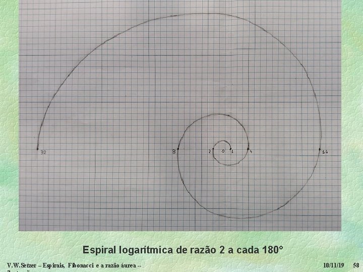 Espiral logarítmica de razão 2 a cada 180° V. W. Setzer – Espirais, Fibonacci