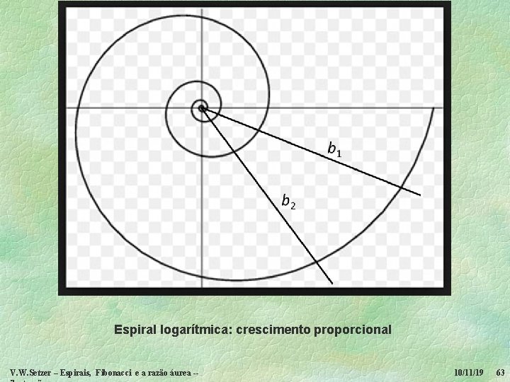 Espiral logarítmica: crescimento proporcional V. W. Setzer – Espirais, Fibonacci e a razão áurea