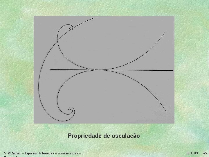 Propriedade de osculação V. W. Setzer – Espirais, Fibonacci e a razão áurea --
