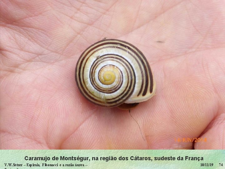 Caramujo de Montségur, na região dos Cátaros, sudeste da França V. W. Setzer –