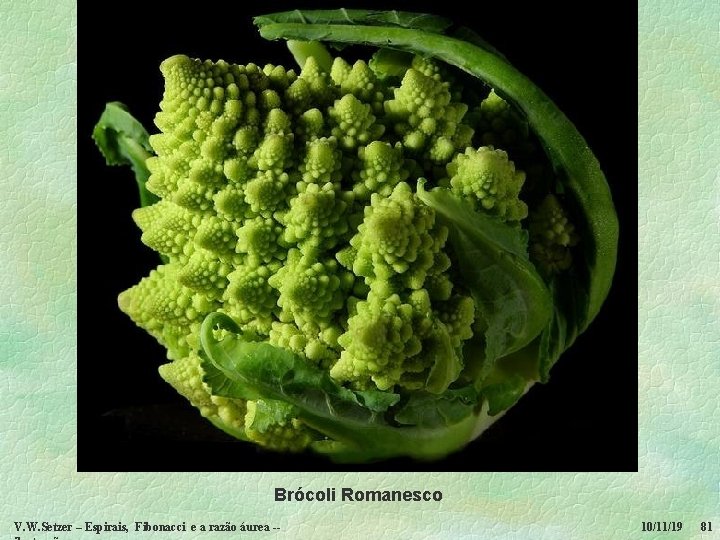 Brócoli Romanesco V. W. Setzer – Espirais, Fibonacci e a razão áurea -- 10/11/19