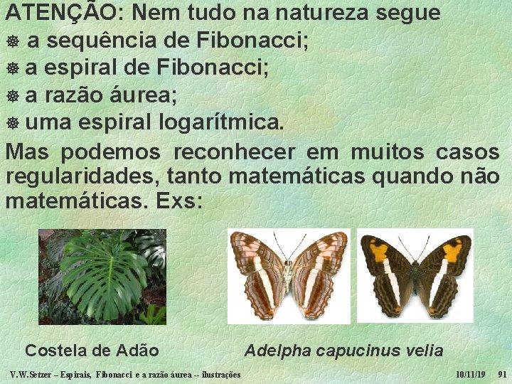 ATENÇÃO: Nem tudo na natureza segue ] a sequência de Fibonacci; ] a espiral