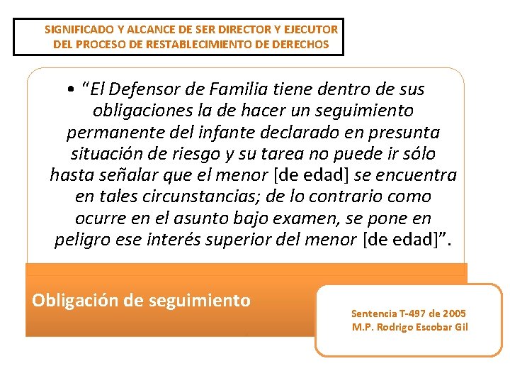 SIGNIFICADO Y ALCANCE DE SER DIRECTOR Y EJECUTOR DEL PROCESO DE RESTABLECIMIENTO DE DERECHOS