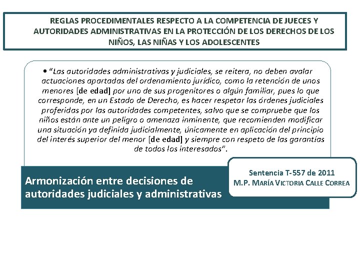 REGLAS PROCEDIMENTALES RESPECTO A LA COMPETENCIA DE JUECES Y AUTORIDADES ADMINISTRATIVAS EN LA PROTECCIÓN