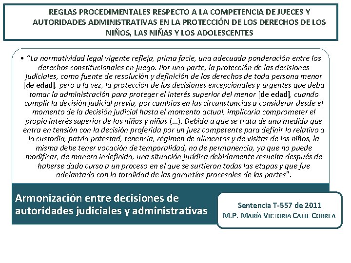 REGLAS PROCEDIMENTALES RESPECTO A LA COMPETENCIA DE JUECES Y AUTORIDADES ADMINISTRATIVAS EN LA PROTECCIÓN