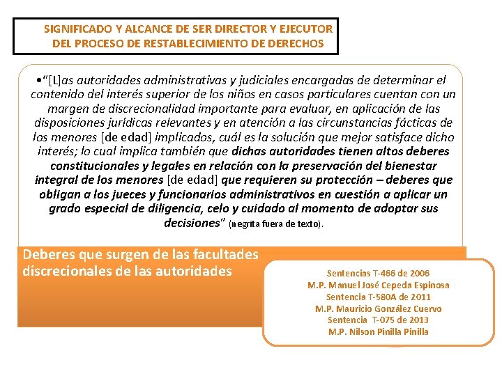 SIGNIFICADO Y ALCANCE DE SER DIRECTOR Y EJECUTOR DEL PROCESO DE RESTABLECIMIENTO DE DERECHOS