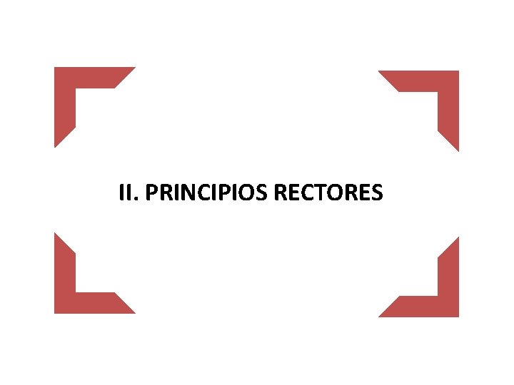 II. PRINCIPIOS RECTORES 