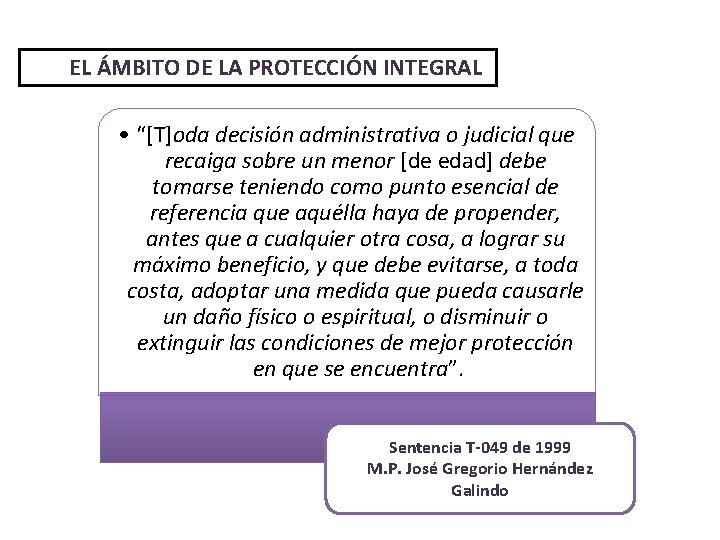 EL ÁMBITO DE LA PROTECCIÓN INTEGRAL • “[T]oda decisión administrativa o judicial que recaiga