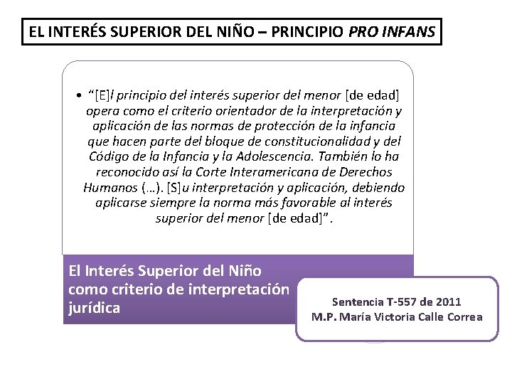 EL INTERÉS SUPERIOR DEL NIÑO – PRINCIPIO PRO INFANS • “[E]l principio del interés