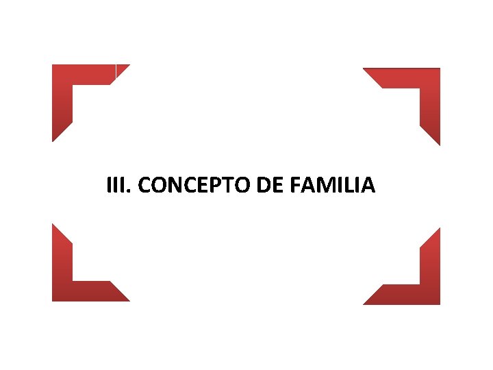 III. CONCEPTO DE FAMILIA 