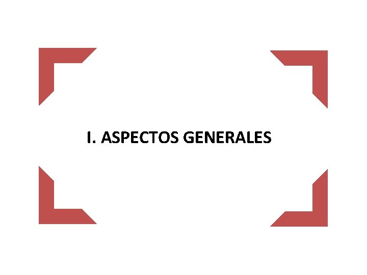 I. ASPECTOS GENERALES 