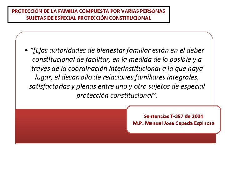 PROTECCIÓN DE LA FAMILIA COMPUESTA POR VARIAS PERSONAS SUJETAS DE ESPECIAL PROTECCIÓN CONSTITUCIONAL •