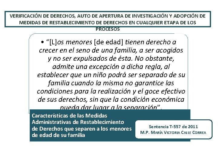 VERIFICACIÓN DE DERECHOS, AUTO DE APERTURA DE INVESTIGACIÓN Y ADOPCIÓN DE MEDIDAS DE RESTABLECIMIENTO