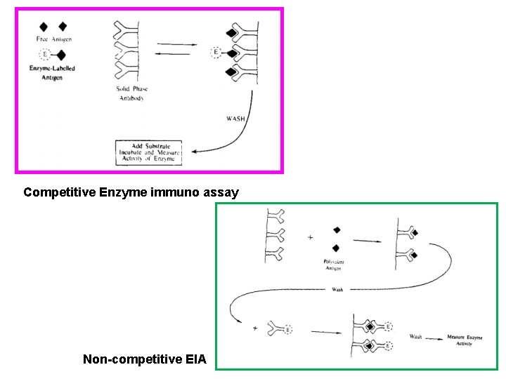 Competitive Enzyme immuno assay Non-competitive EIA 