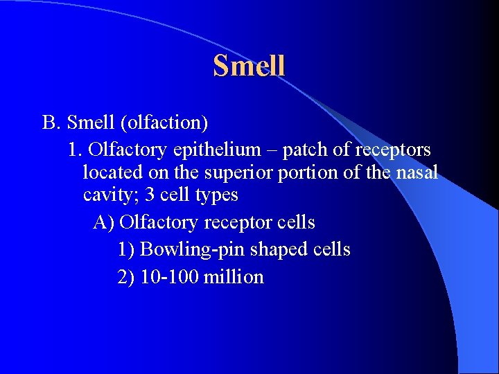 Smell B. Smell (olfaction) 1. Olfactory epithelium – patch of receptors located on the