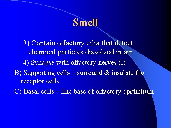 Smell 3) Contain olfactory cilia that detect chemical particles dissolved in air 4) Synapse