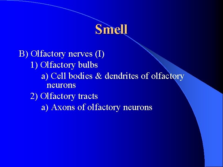 Smell B) Olfactory nerves (I) 1) Olfactory bulbs a) Cell bodies & dendrites of