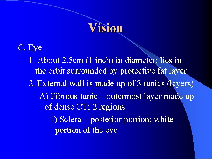 Vision C. Eye 1. About 2. 5 cm (1 inch) in diameter; lies in