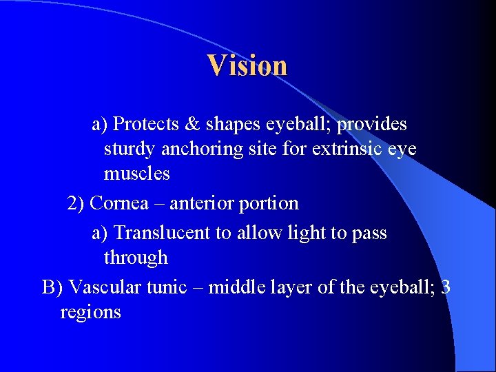 Vision a) Protects & shapes eyeball; provides sturdy anchoring site for extrinsic eye muscles
