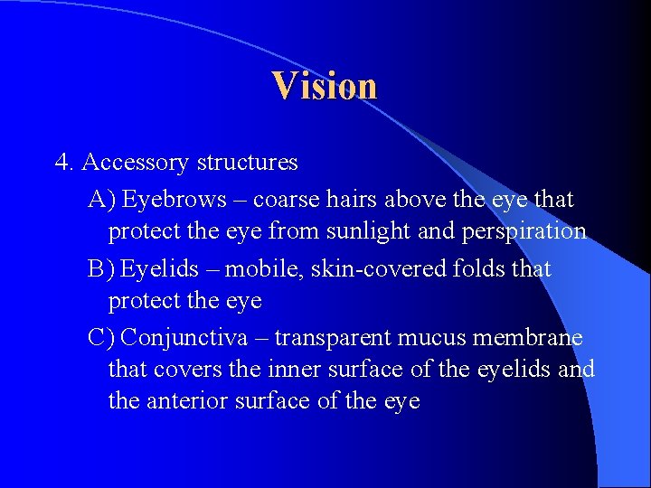 Vision 4. Accessory structures A) Eyebrows – coarse hairs above the eye that protect