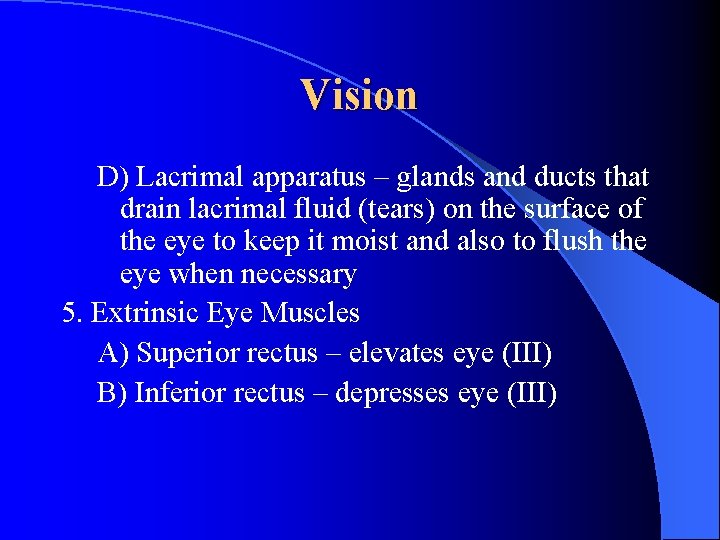 Vision D) Lacrimal apparatus – glands and ducts that drain lacrimal fluid (tears) on
