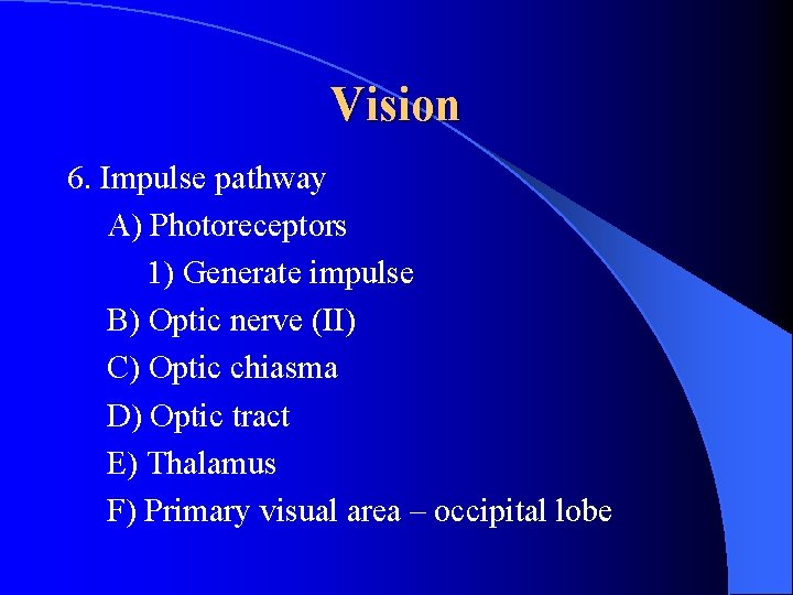 Vision 6. Impulse pathway A) Photoreceptors 1) Generate impulse B) Optic nerve (II) C)