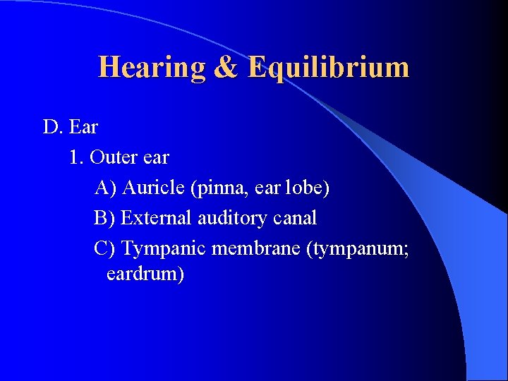 Hearing & Equilibrium D. Ear 1. Outer ear A) Auricle (pinna, ear lobe) B)