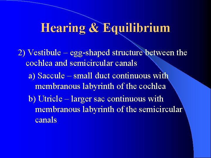 Hearing & Equilibrium 2) Vestibule – egg-shaped structure between the cochlea and semicircular canals