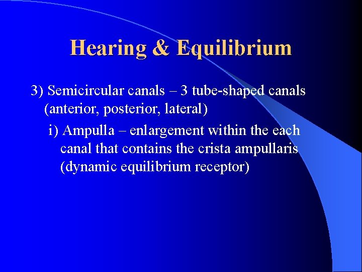 Hearing & Equilibrium 3) Semicircular canals – 3 tube-shaped canals (anterior, posterior, lateral) i)