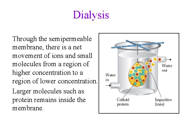 Dialysis Through the semipermeable membrane, there is a net movement of ions and small