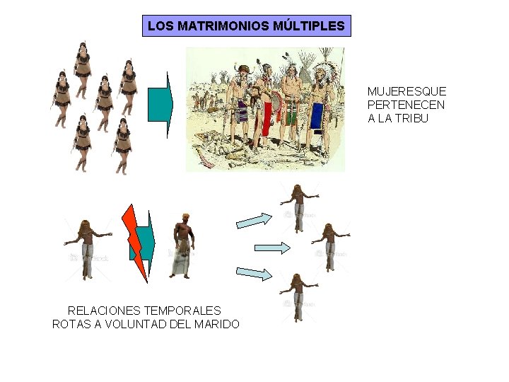 LOS MATRIMONIOS MÚLTIPLES MUJERES QUE PERTENECEN A LA TRIBU RELACIONES TEMPORALES ROTAS A VOLUNTAD