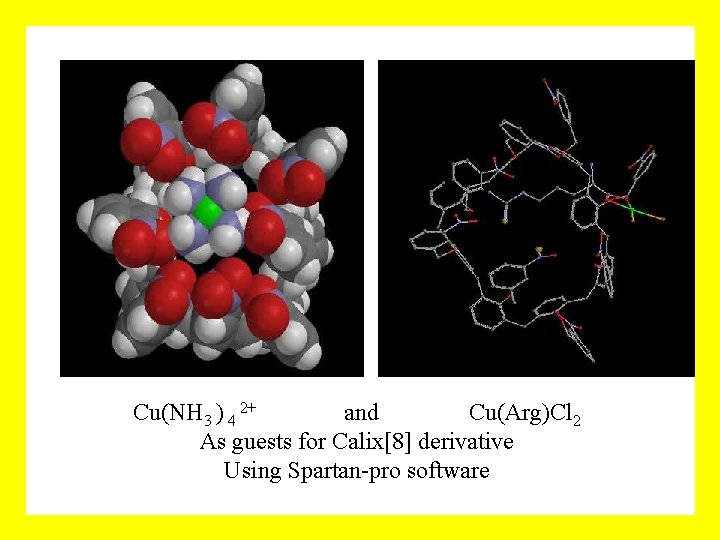 Cu(NH 3 ) 4 2+ and Cu(Arg)Cl 2 As guests for Calix[8] derivative Using