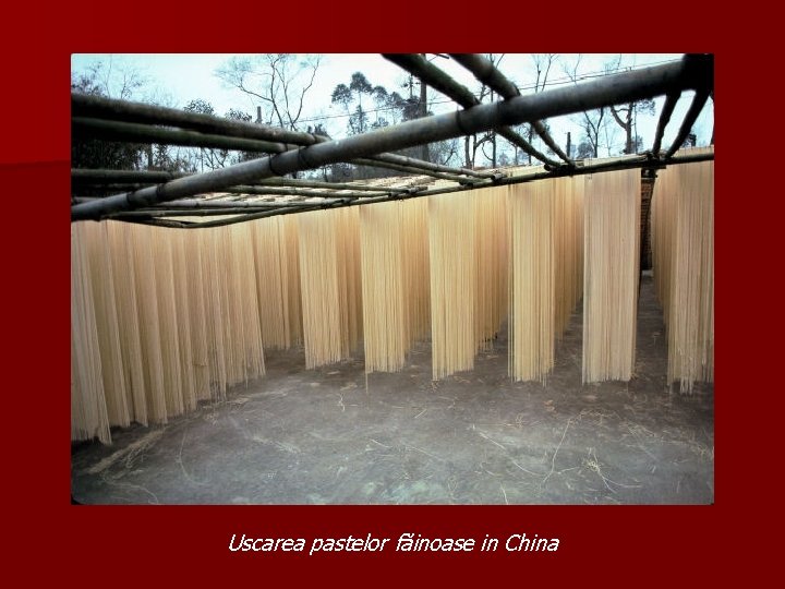 Uscarea pastelor făinoase in China 