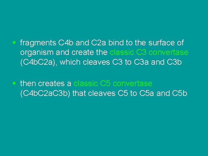 § fragments C 4 b and C 2 a bind to the surface of