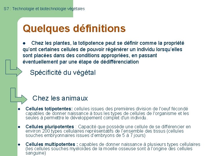 S 7 : Technologie et biotechnologie végétales Quelques définitions l Chez les plantes, la