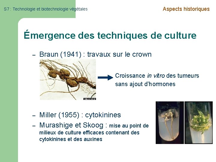 Aspects historiques S 7 : Technologie et biotechnologie végétales Émergence des techniques de culture