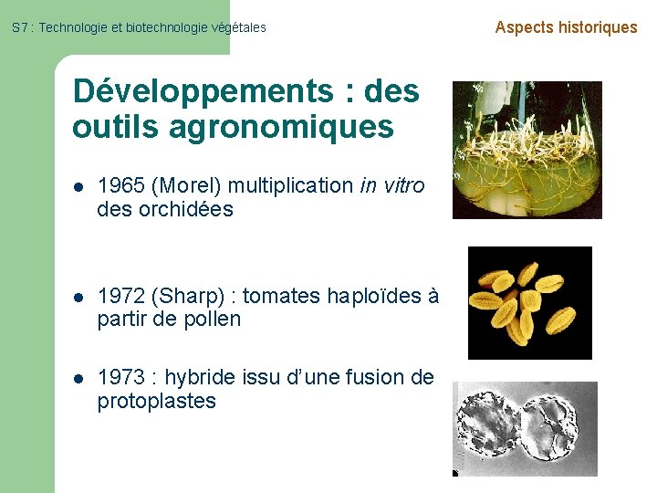 S 7 : Technologie et biotechnologie végétales Développements : des outils agronomiques l 1965