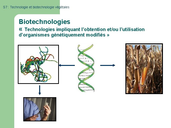 S 7 : Technologie et biotechnologie végétales Biotechnologies « Technologies impliquant l’obtention et/ou l’utilisation