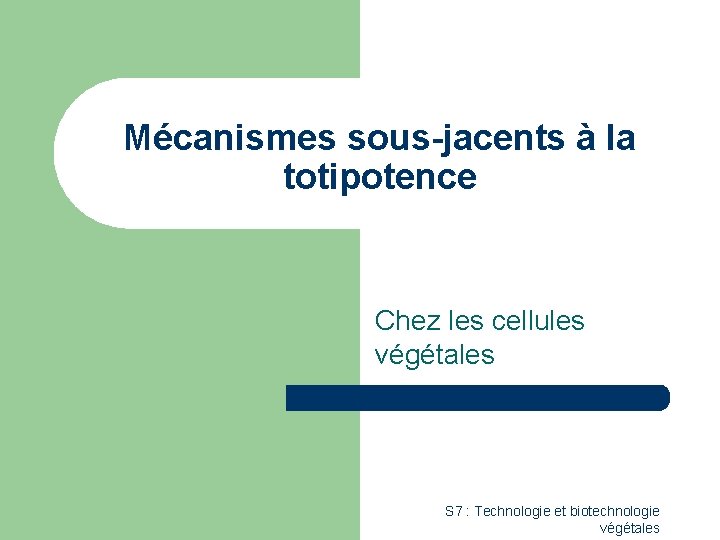 Mécanismes sous-jacents à la totipotence Chez les cellules végétales S 7 : Technologie et