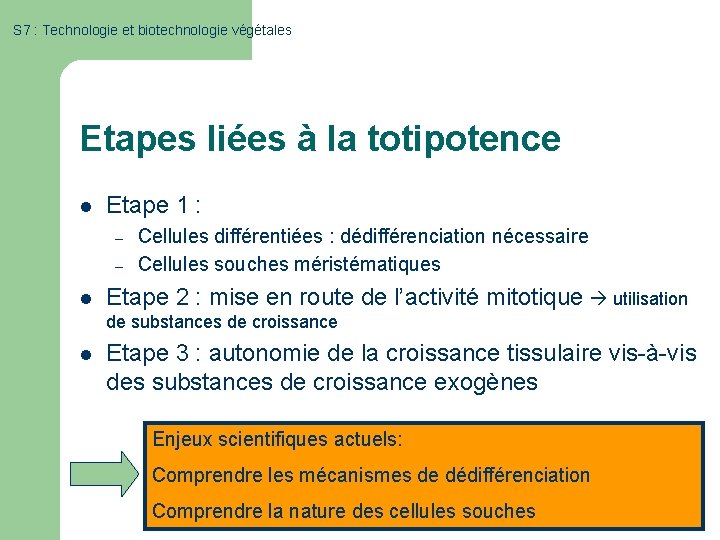 S 7 : Technologie et biotechnologie végétales Etapes liées à la totipotence l Etape