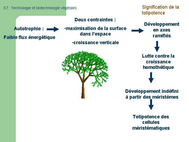 Signification de la totipotence S 7 : Technologie et biotechnologie végétales Deux contraintes :